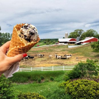 Moomers - Ice Cream & Frozen Yogurt Near Me - Traverse City, Michigan
