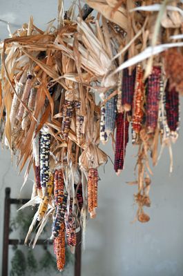 Historic Fort Snelling by null