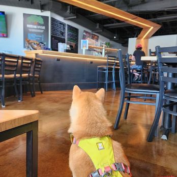 White Oak Taphouse - Beer Bar Near Me - Beaverton, Oregon White Oak Taphouse - Beer Bar Near Me - Beaverton, Oregon