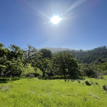 Castle Rock State Park - Beautiful views on the trail - Parks Near Me - Los Gatos, California Castle Rock State Park - Beautiful views on the trail - Parks Near Me - Los Gatos, California