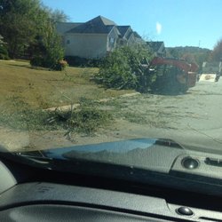 Stanleys Tree Service