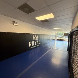 Royal Boxing + MMA - Kickboxing classes and Grappling hours available!
