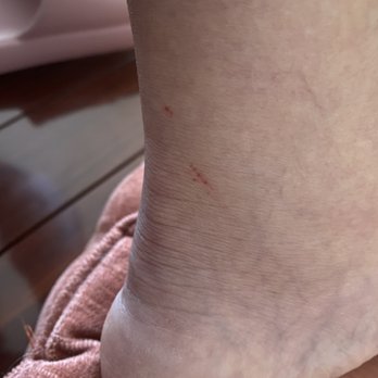King Arthur Salon - Sliced calf - Hair Salons Near Me - Sacramento, California King Arthur Salon - Sliced calf - Hair Salons Near Me - Sacramento, California
