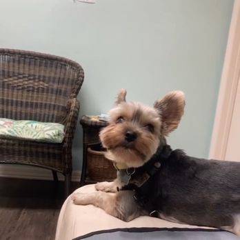 Garden Veterinary Clinic - Chewy - Veterinarians Near Me - Winter Park, Florida Garden Veterinary Clinic - Chewy - Veterinarians Near Me - Winter Park, Florida
