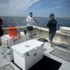 Dark Horse Charters gift card