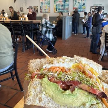 Winston’s Cafe & Bakery - AVOCADO-CRUNCH SANDO **vegan**Avocado - Bakeries Near Me - Napa, California Winston’s Cafe & Bakery - AVOCADO-CRUNCH SANDO **vegan**Avocado - Bakeries Near Me - Napa, California
