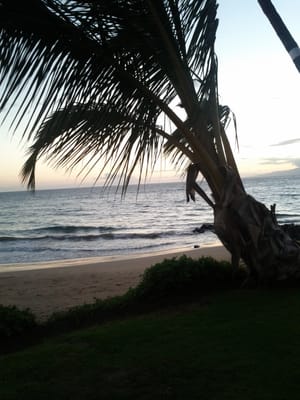 The Hale Pau Hana by null