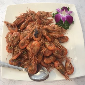 Won Kok Restaurant - About 1.5 lbs of baby shrimp - Chinese Near Me - San Francisco, California Won Kok Restaurant - About 1.5 lbs of baby shrimp - Chinese Near Me - San Francisco, California