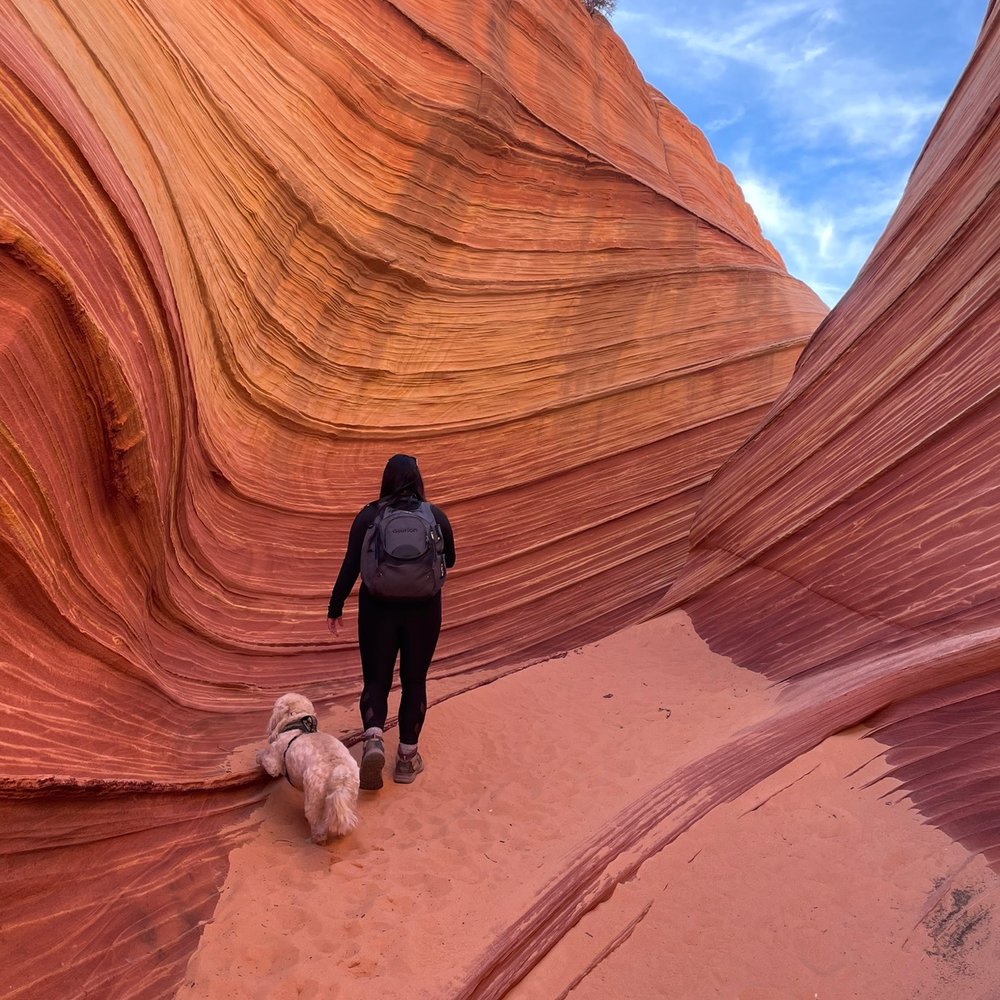 The Wave - Landmarks & Historical Buildings Near Me - Kanab, Utah The Wave - Landmarks & Historical Buildings Near Me - Kanab, Utah