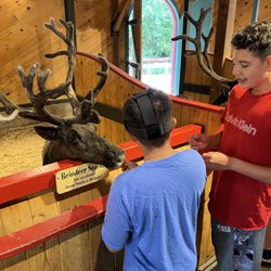 Santa's Village - Kids feeding the reindeer.