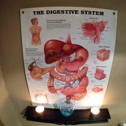 Newport Beach Colonics - Digestive System Diagram