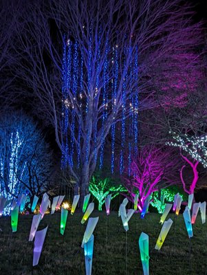 The North Carolina Arboretum by null