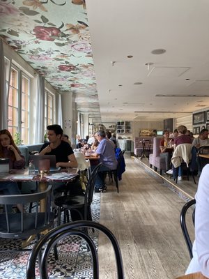 Wilma Wunder by null