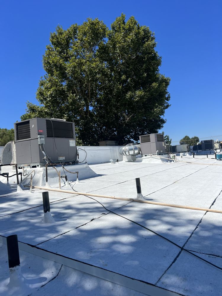 Slide of Ecostar Group