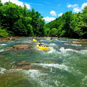 forsyth bait and tackle