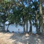 Photo of Waterfront Park Daniel Island