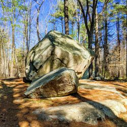 Whitney and Thayer Woods - Bigelow Boulder