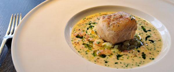 City Social by null City Social by null