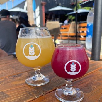 Pure Project - Carlsbad - Breweries Near Me - Carlsbad, California Pure Project - Carlsbad - Breweries Near Me - Carlsbad, California