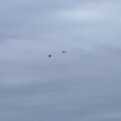 Moran Beach County Park - A couple of EA18 Growlers.