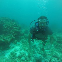 Red Hook Dive Center