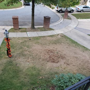 USA Tree Services - The front yard after it was stumped and cleared. - Tree Services Near Me - Linthicum Heights, Maryland