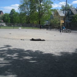 Nunziato Field Dog Park - Laziness radiates from the center @ Nunziato Dog Park