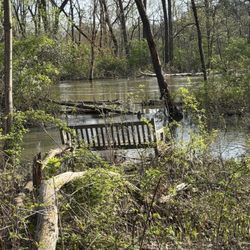 Ryerson Woods Forest Preserve - Des Plaines River flooding 4/23/26