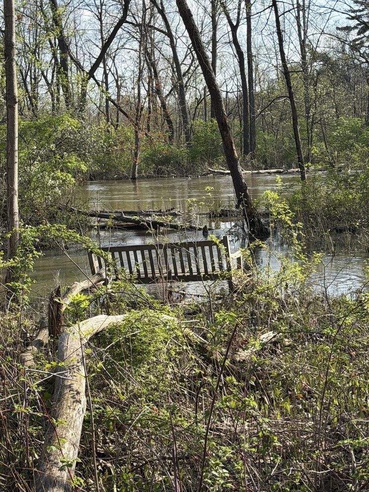 Social spots from Ryerson Woods Forest Preserve