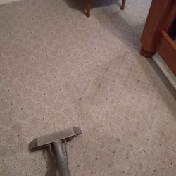 Fibers Plus Carpet & Upholstery Cleaning Co - Deep steam cleaning