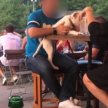 Kid Cashew - Guy with his dog on table on patio - Mediterranean Near Me - Charlotte, North Carolina Kid Cashew - Guy with his dog on table on patio - Mediterranean Near Me - Charlotte, North Carolina