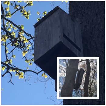 Connetquot River State Park - Assorted Bat Houses. So cool. Home for bug eaters. 5-3-2017 - Parks Near Me - Bohemia, New York Connetquot River State Park - Assorted Bat Houses. So cool. Home for bug eaters. 5-3-2017 - Parks Near Me - Bohemia, New York
