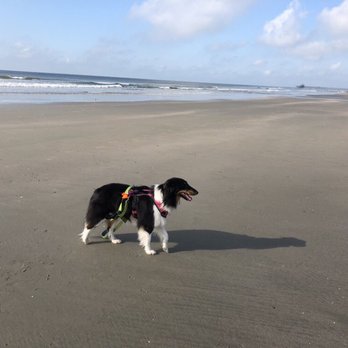 Folly's Best Rentals - Vacation Rentals Near Me - Charleston, South Carolina Folly's Best Rentals - Vacation Rentals Near Me - Charleston, South Carolina