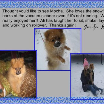 Homestyle Kennel - Pet Stores Near Me