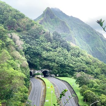 Tarzan Tours - Walking Tours Near Me Tarzan Tours - Walking Tours Near Me