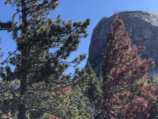 Lembert Dome by null