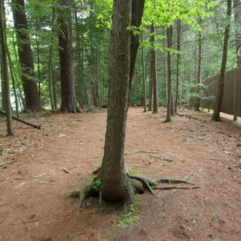 Bog Walk - Beware !! No texting on the trail - Hiking Near Me