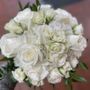 Photo of Petite Florist