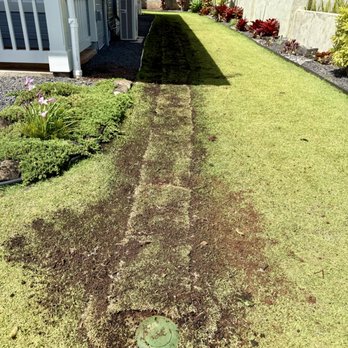 Aloha 'Aina Landscaping - Pooling solution. Crew came back and redid everything. Much better. - Landscaping Near Me - Waimanalo, Hawaii Aloha 'Aina Landscaping - Pooling solution. Crew came back and redid everything. Much better. - Landscaping Near Me - Waimanalo, Hawaii
