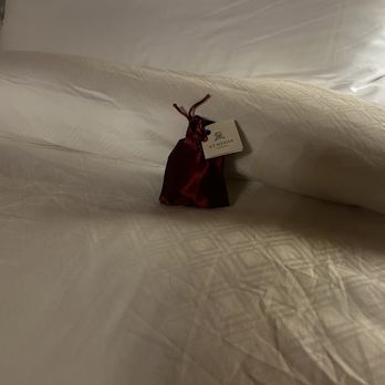 The St. Regis Florence - Hotels Near Me - Florence, FI The St. Regis Florence - Hotels Near Me - Florence, FI
