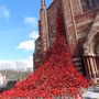 Photo of Weeping Window