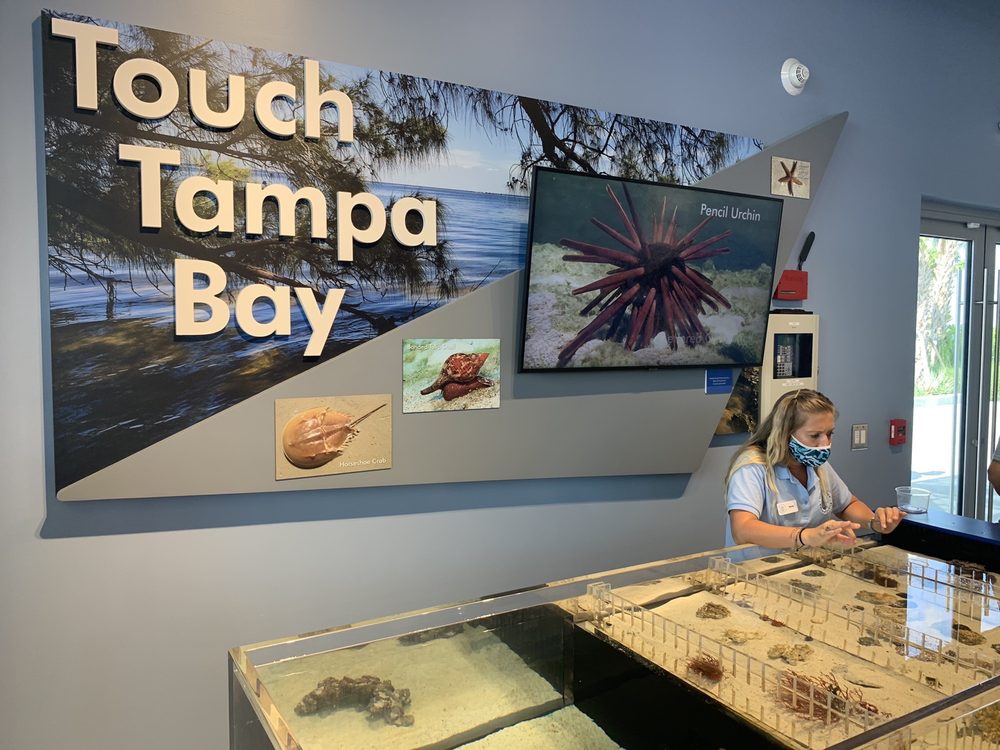 TAMPA BAY WATCH DISCOVERY CENTER 101 Photos Aquariums 700 2nd Ave