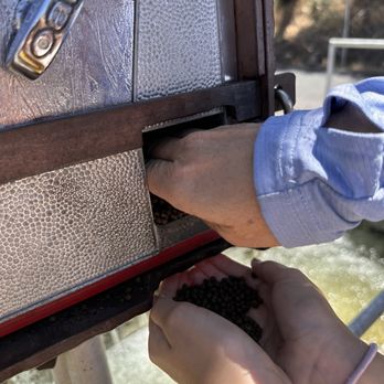 Moccasin Creek Trout Hatchery - Tours Near Me - Jamestown, California Moccasin Creek Trout Hatchery - Tours Near Me - Jamestown, California