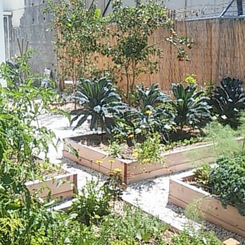 Ms Cheezious - Gorgeous vegetable garden! - Sandwiches Near Me - Miami, Florida
