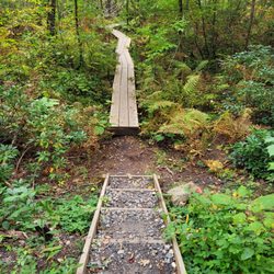 American Legion & People’s State Forests - Boardwalk