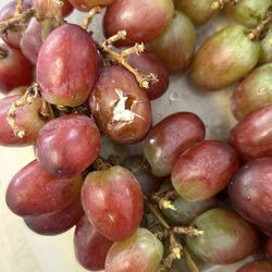 Walmart - Moldy mutated grape