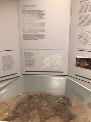 Maxwell Museum of Anthropology by null