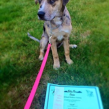 Valley View Canine - Graduation from puppy preschool! - Pet Training Near Me - Gresham, Oregon