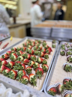 Candy Palace and Candy Kitchen by null