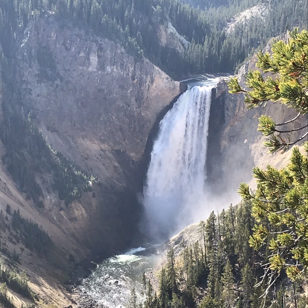Yellowstone Day Tours - Tours Near Me